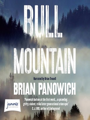 Bull Mountain - Audiobook